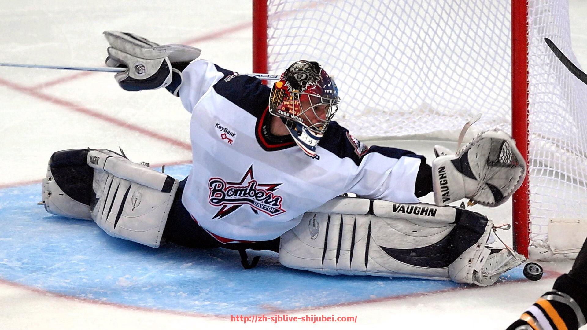 世俱杯直播-世俱杯球迷互动助威舞蹈教学直播课程预告